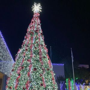 Meet your Posher, Alejandro